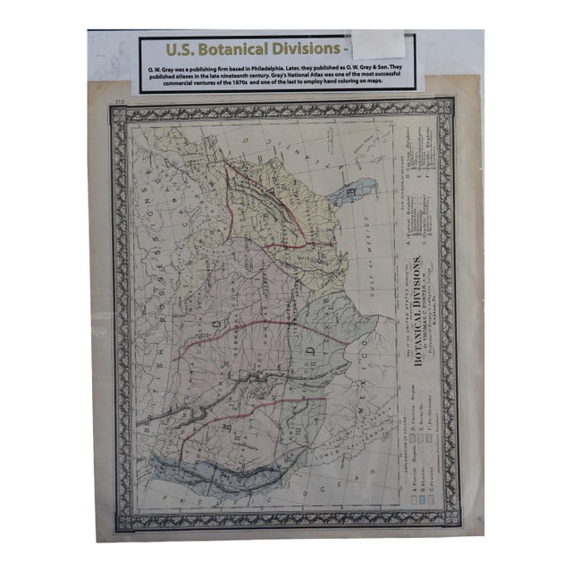 Antique o.w. Gray's 1870s u.s. Botanical Divisions Map (16" X 19") For Sale