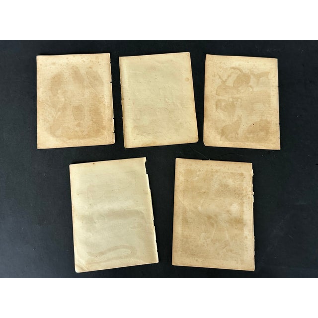 Brown Antique 19th Century Engraved Natural History Animal Art Prints Set of 5 For Sale - Image 8 of 10