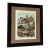 1990s Carl Hoffmann Framed "Conchylien Ii" Shell Print For Sale