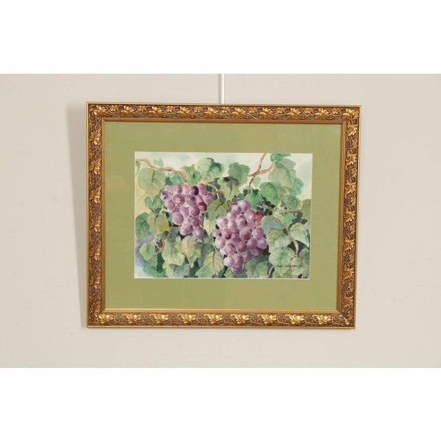 Quality Custom Framed Watercolor Painting of Grapes on a Vine by Libby Anderson (American, B. 20th C.), Signed Bottom Right