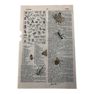 "Injurious Insects" Contemporary Original Colored Pencil Drawing on Vintage Dictionary Page For Sale