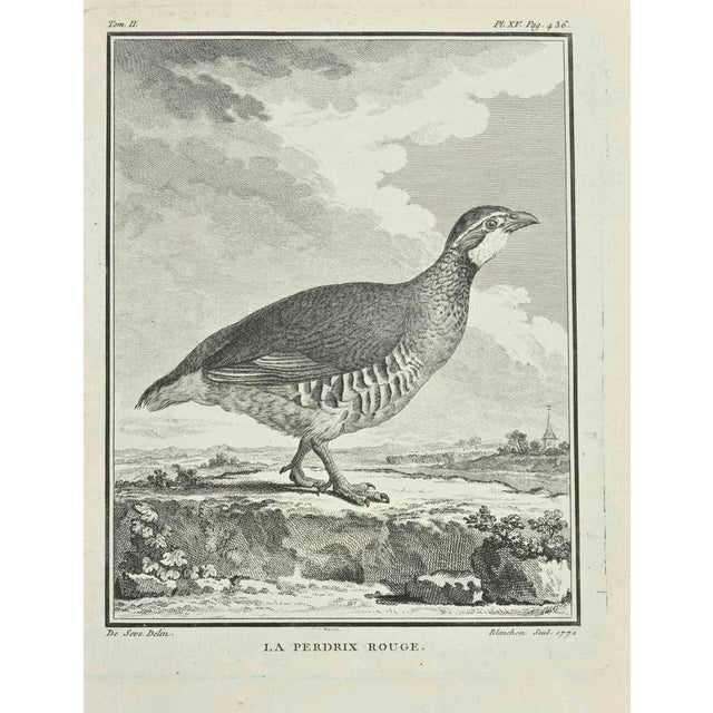 La Perdrix is an etching realized in 1771 by Jaqcues Blanchon. Titled and Signed on the plate. The artwork Belongs to the...