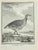 La Perdrix is an etching realized in 1771 by Jaqcues Blanchon. Titled and Signed on the plate. The artwork Belongs to the...
