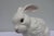 Ceramic Mid Century Italian Large White Majolica Ceramic Bunny Rabbit Statue For Sale - Image 7 of 11