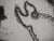 Bengt Lindstrom,: Totemic Animal, Engraving For Sale - Image 5 of 7