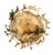 Antique Miniature Italian Alabaster Pedestal Bowl With Grapes and Dolphins For Sale - Image 9 of 11