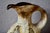 Brutalist Ceramic Pitcher from Dümler & Breiden, 1960s For Sale - Image 6 of 12