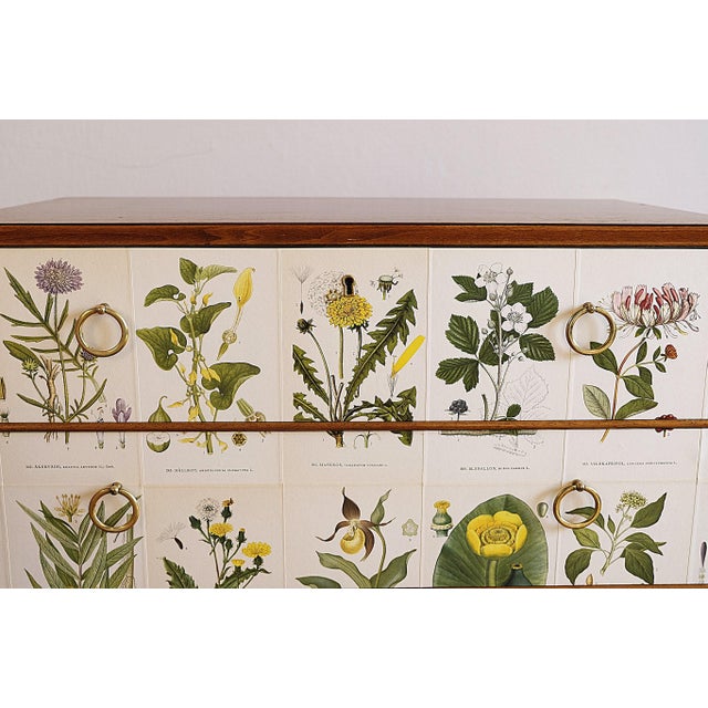 Swedish Modern Chests Nordens Flora by Cam Lindman in the style of Josef Frank, Sweden, 1940s, Set of 2 For Sale - Image 6 of 14