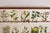 Swedish Modern Chests Nordens Flora by Cam Lindman in the style of Josef Frank, Sweden, 1940s, Set of 2 For Sale - Image 6 of 14