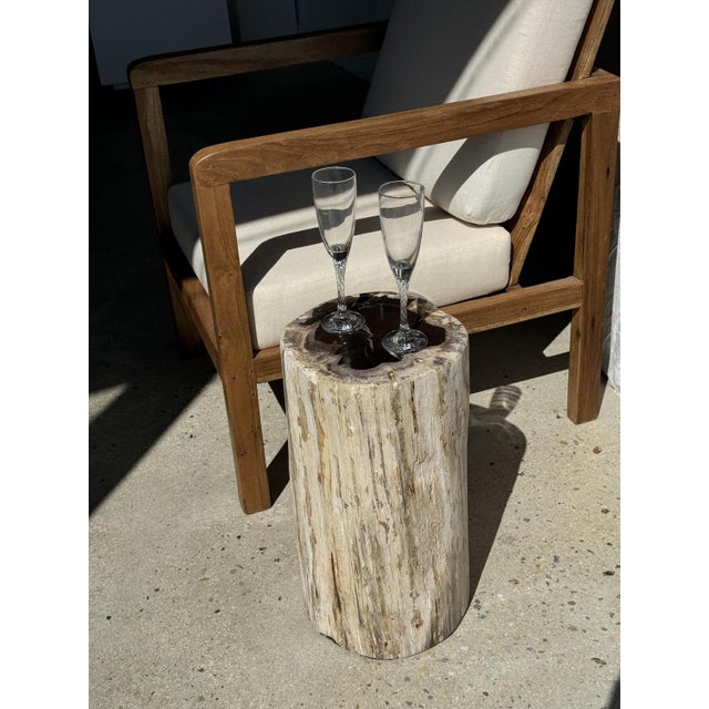 Large White Side Table in Petrified Wood For Sale - Image 6 of 18