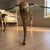 1970s Vintage Hollywood Regency Cast Bronze & Shaped Glass Coffee Table in the Manner of p.e. Guerin For Sale - Image 5 of 7
