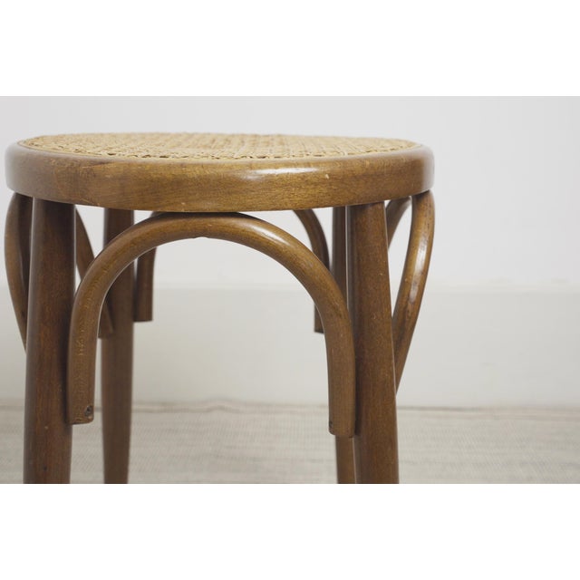 1970s Vintage Cane Stool in Bentwood, 1970s For Sale - Image 5 of 11