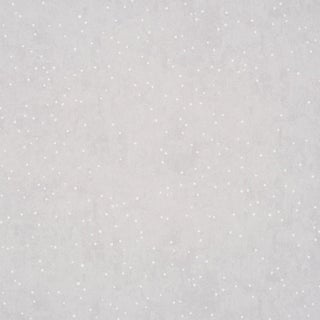 SAMPLE - Schumacher X Colette Cosentino Brindille Starry Sky Wallpaper In Dove For Sale