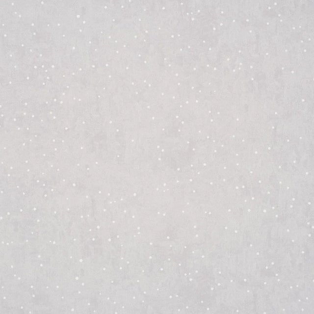 SAMPLE - Schumacher X Colette Cosentino Brindille Starry Sky Wallpaper In Dove For Sale