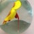Large Egg Shaped Paperweight With Stunning Floating Petunia For Sale - Image 4 of 6