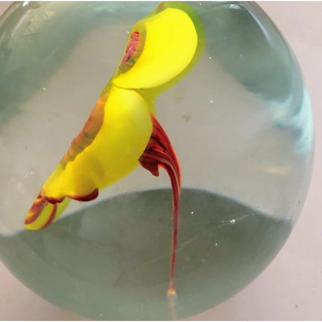 Large Glass Egg Shaped Paper Weight With Stunning Floating Petunia For Sale - Image 4 of 6