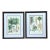 Vintage Framed Botanical Palm Illustrations - Set of 2 For Sale