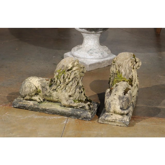 Yellow English 20th Century Composition Reclining Lion Sculptures with Patina - A Pair For Sale - Image 8 of 12