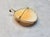 Late 20th Century Late 20th Century Amedeo Italian Shell Cameo 14k Gold Pendant Brooch For Sale - Image 5 of 9