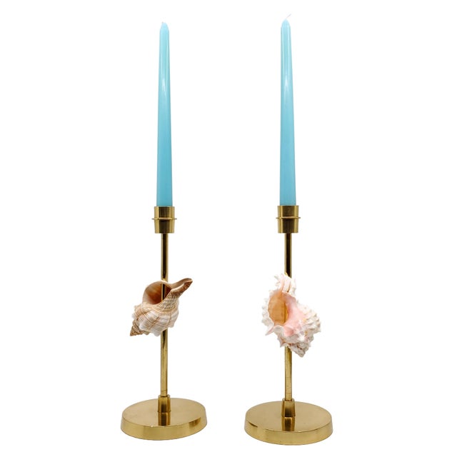 Brass Candlesticks Shells Seashells For Sale - Image 14 of 15