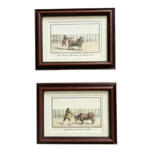 Pair of Framed Spanish Matador Prints