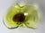 Glass Vintage Murano Sommerso Apple Green and Brown Glass Bowl with Organic Sculptural Form, 1970 For Sale - Image 7 of 16