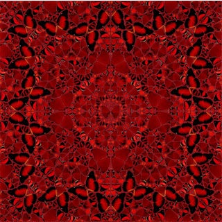 Damien Hirst the Empresses Nur Jahan H10-2 For Sale