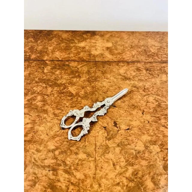 Lovely antique Edwardian silver plated grape scissors, having a lovely pair of antique Edwardian silver plated grape...