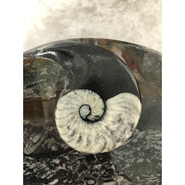 Stone Fossil Dish with Raised Fossil Design | Chairish