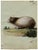 Leopold Billek, Guinea Pig (Meerschweinchen), 1820, Original Gouache Painting For Sale - Image 3 of 4
