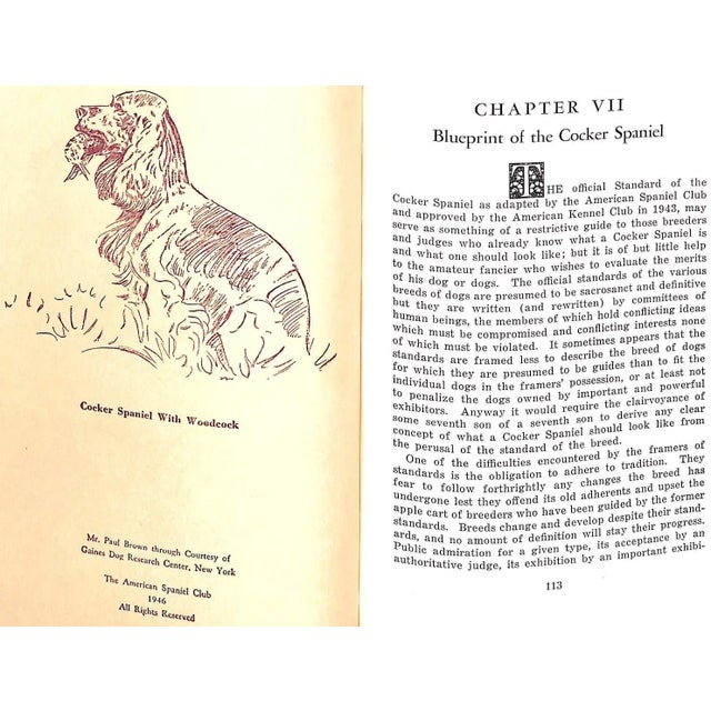 1940s "The Complete Cocker Spaniel" 1946 Denlinger, Milo G. For Sale - Image 5 of 17