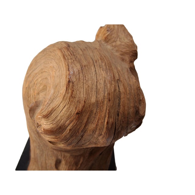 Mid-Century Wood Specimen For Sale - Image 4 of 6