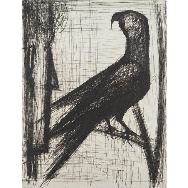 Bernard Buffet, The Parrot, Original Engraving For Sale - Image 5 of 5