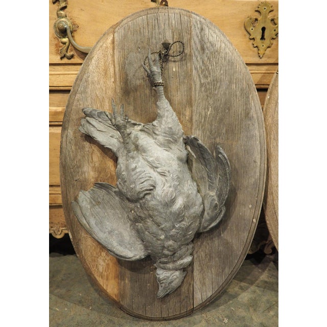 Wood Pair of Circa 1890 Weathered French Hunt Trophies on Natural Oak Oval Panels For Sale - Image 7 of 18