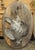 Wood Pair of Circa 1890 Weathered French Hunt Trophies on Natural Oak Oval Panels For Sale - Image 7 of 18