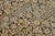 Cream Antique Malayer Style Hand-Knotted Wool Rug With Botanical Motif in Indigo For Sale - Image 8 of 11