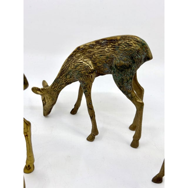 Bone Vintage Late 20th Century Brass Deer Statues - A Set of 3 For Sale - Image 7 of 9