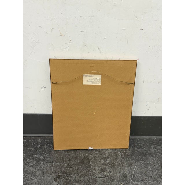 Jerry Kapler Bedroom Photograph, Framed For Sale In San Francisco - Image 6 of 12