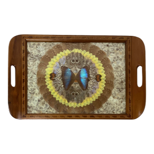 Vintage Brazilian Inlaid Wood Tray With Real Morpho Butterfly Wings