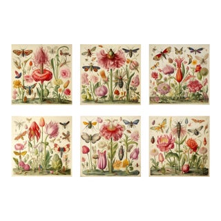 # Set of 6 - 54" X 36" Gallery Wall Installation 'Insects and Flowers' Botanical Floral Prints, Unframed For Sale