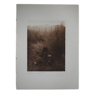 Edward S. Curtis "Gathering Arrow-Brush - Pima" 1907 Vintage Tissue Photogravure, Cardozo Collection For Sale