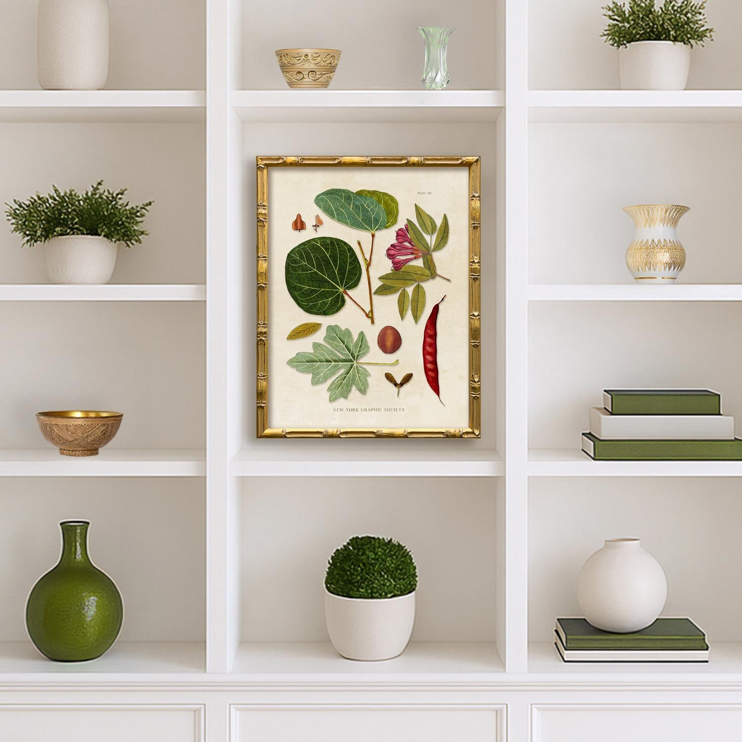 新品 Lotta × BOTANIZE GICLEE Contemporary Reproduction (Set of All 4) Vintage Botanical Leaves