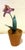 French French Porcelain Flower in Terracotta Pot For Sale - Image 3 of 11