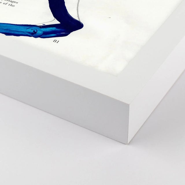 DESCRIPTION: Roman Bust by Virginia Chamlee in White Frame, Small Art Print SPECIFICATIONS: Type: Framed Paper. Framed...