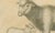 Cream Brodtmann, Spanish Sheep, Ewe, Lamb & Ram, Lithograph, 1816 For Sale - Image 8 of 9