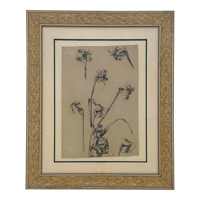 Vintage Botanical Sketch on Paper For Sale