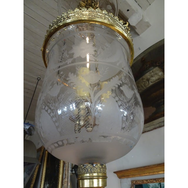 Antique French Glass Cloche Chairish