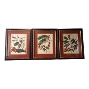 Gold & Leather Framed Botanicals "Foliage, Flowers & Fruit" by John Richards- Set of 3