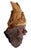 Burgundy Late 20th Century Very Fine Detailed Burl Wood Carving of an Elf or Gnome Face Wall Sculpture MINT For Sale - Image 8 of 10