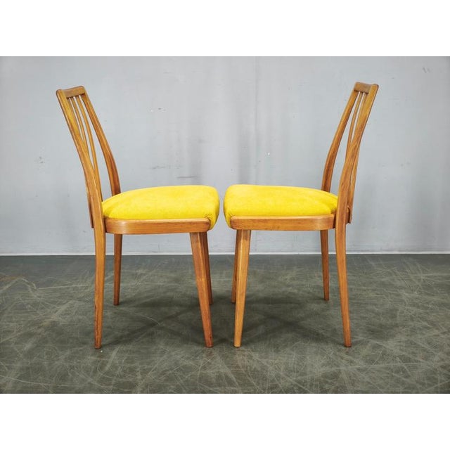 Mid-Century Modern Beech Dining Chairs from TON, Czechoslovakia, 1970s, Set of 4 For Sale - Image 11 of 16